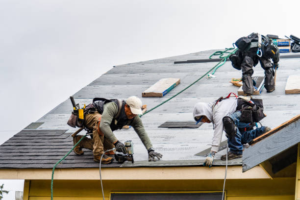 Professional Roofing technician working in Crossville, IL